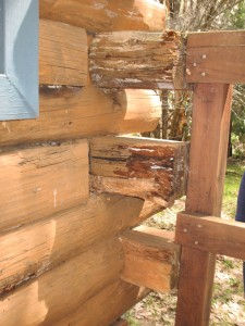 Log rot on log ends from water damage